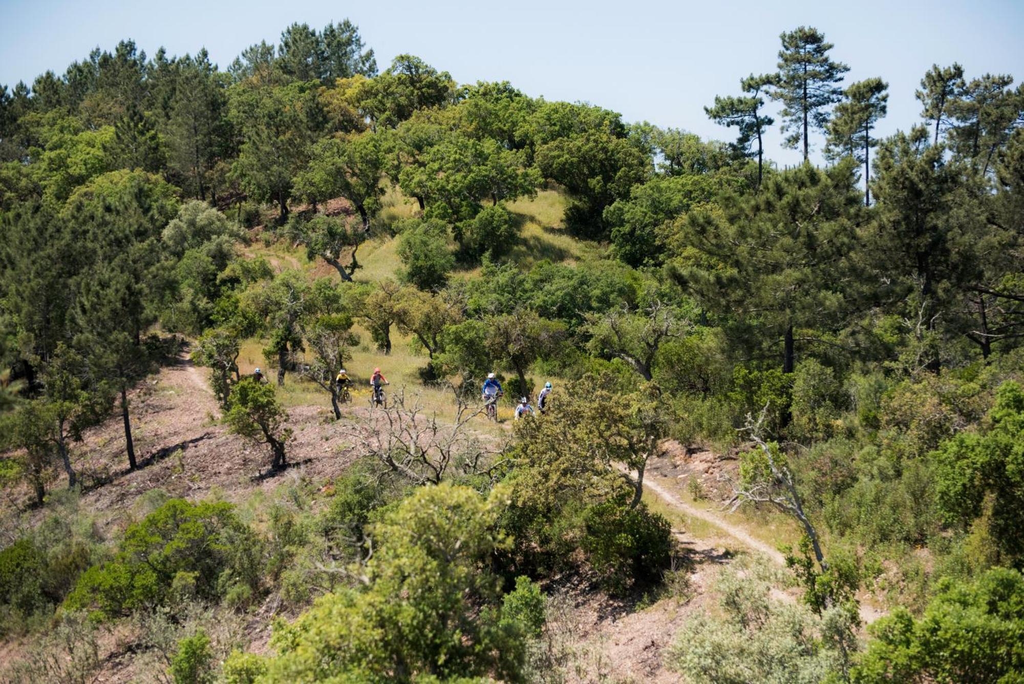 Herdade Das Barradas Da Serra Grândola Kültér fotó
