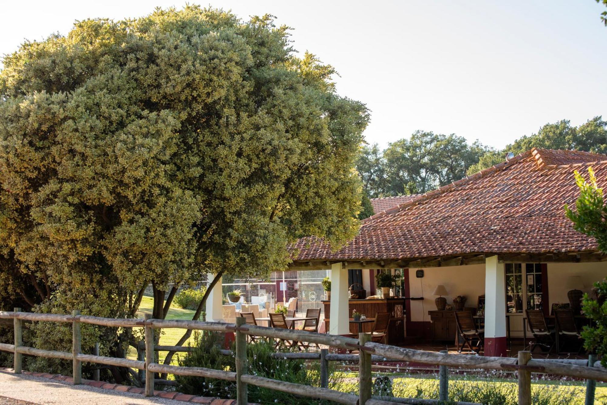 Herdade Das Barradas Da Serra Grândola Kültér fotó