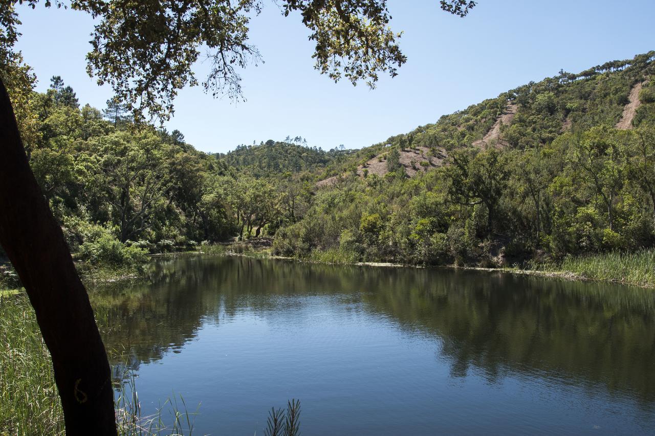 Herdade Das Barradas Da Serra Grândola Kültér fotó